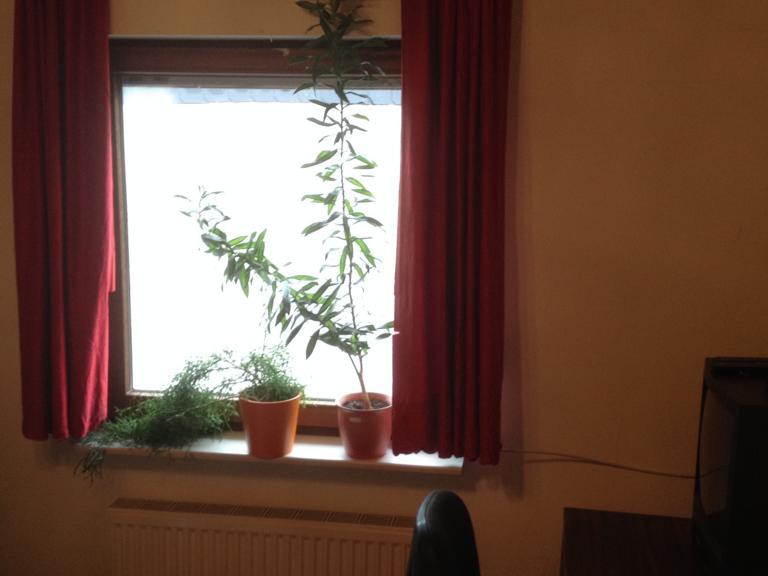 Monteurzimmer Heckenbach